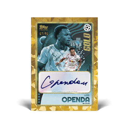 Best Deal - Topps UCC Gold 2024/25
